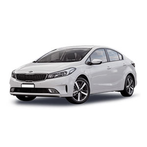 cerato